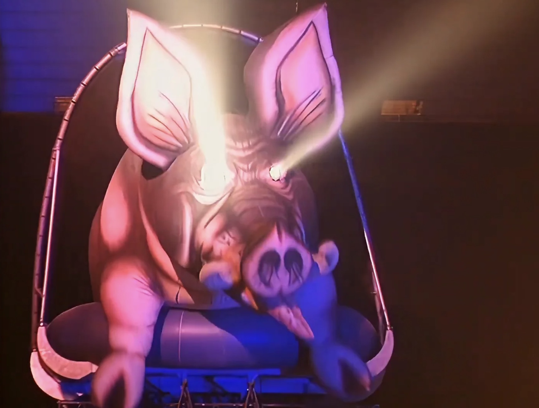 Laser eye pig